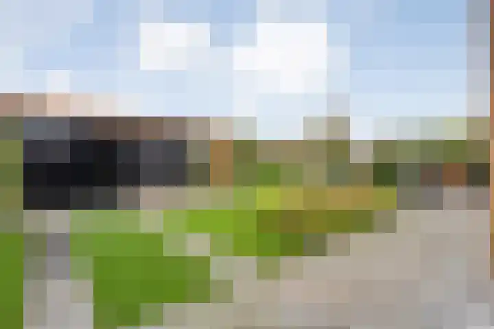 Markeboek 1 Ommen thumbnail 106