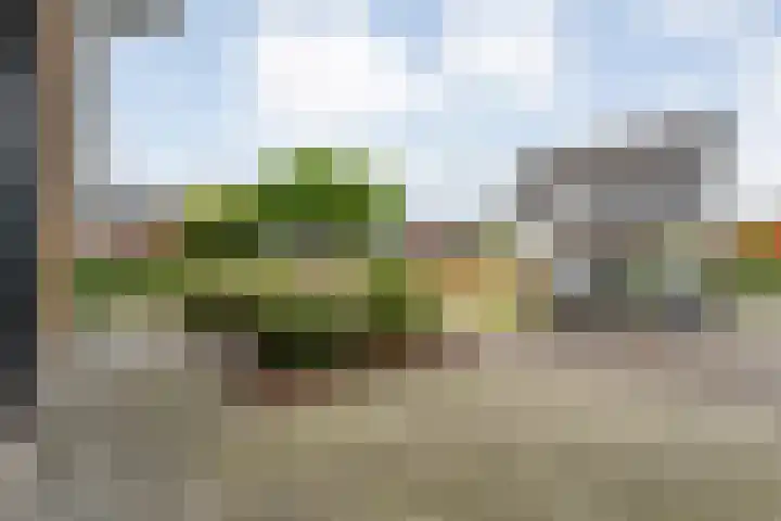 Markeboek 1 Ommen thumbnail 11