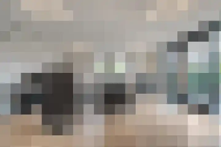 Markeboek 1 Ommen thumbnail 117