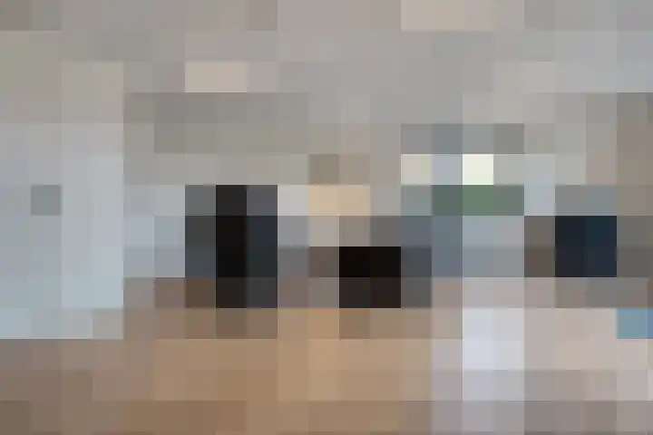 Markeboek 1 Ommen thumbnail 119