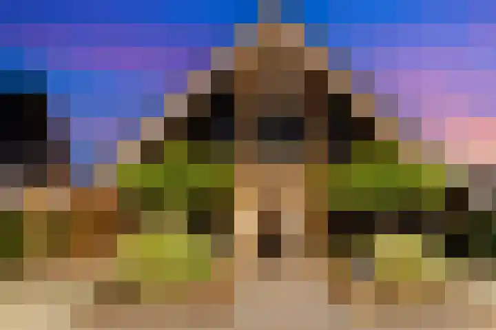 Markeboek 1 Ommen thumbnail 125