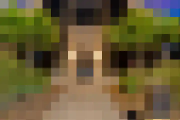 Markeboek 1 Ommen thumbnail 126