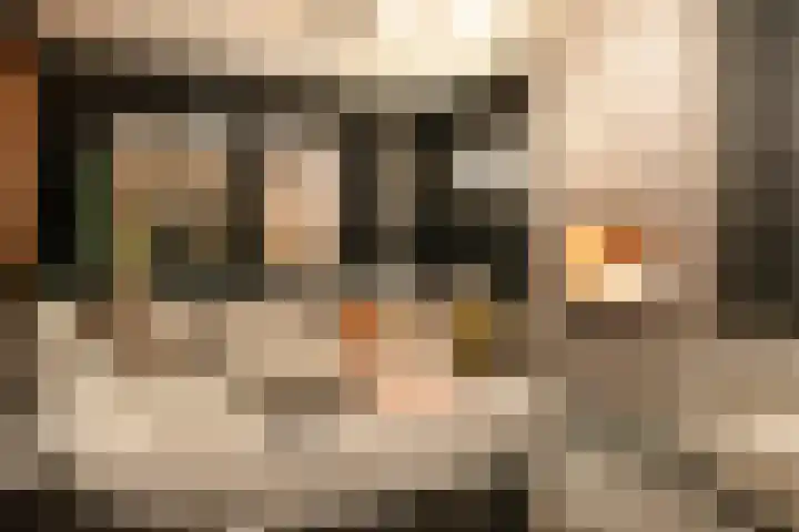 Markeboek 1 Ommen thumbnail 128