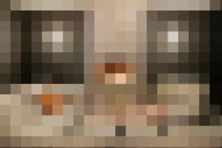 Markeboek 1 Ommen thumbnail 130