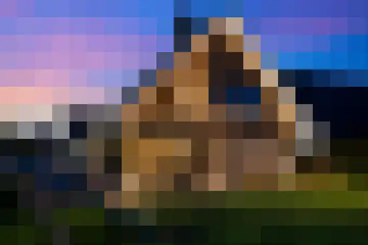 Markeboek 1 Ommen thumbnail 131