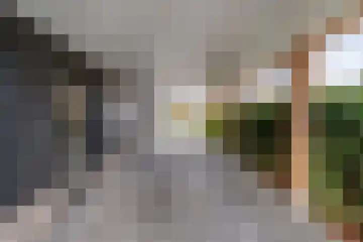 Markeboek 1 Ommen thumbnail 18