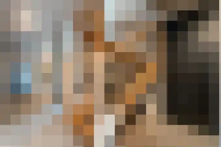 Markeboek 1 Ommen thumbnail 22