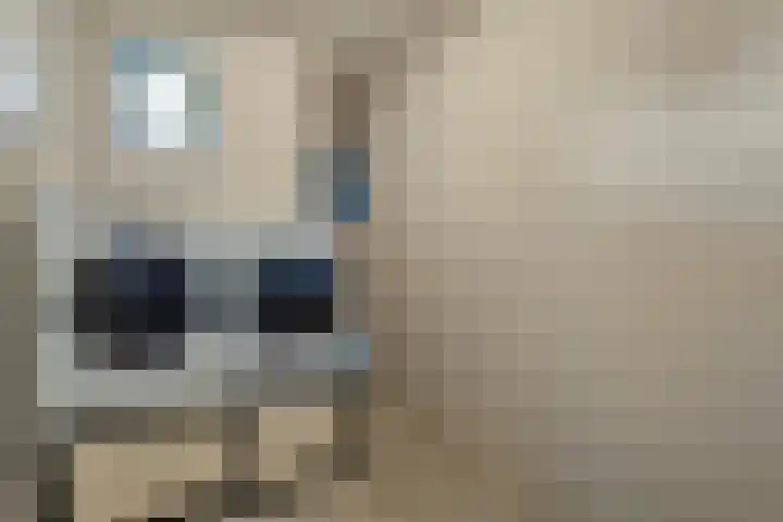 Markeboek 1 Ommen thumbnail 28
