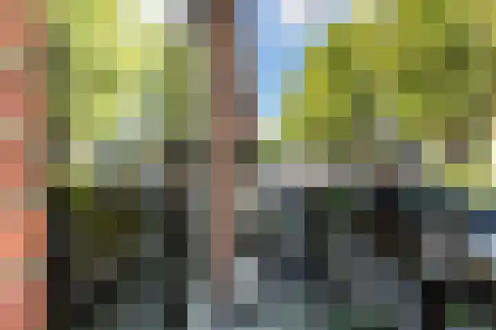 Markeboek 1 Ommen thumbnail 34