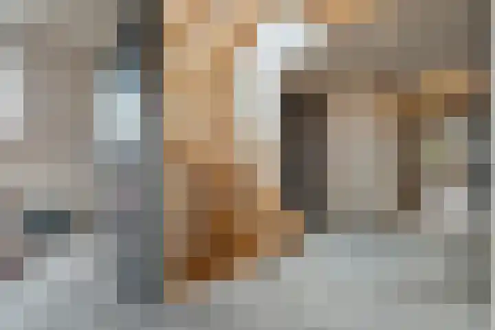 Markeboek 1 Ommen thumbnail 53