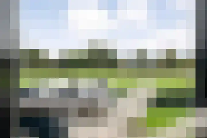 Markeboek 1 Ommen thumbnail 71