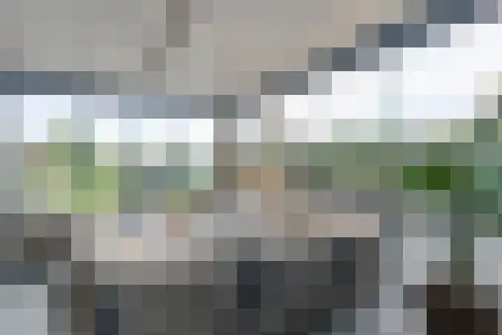 Markeboek 1 Ommen thumbnail 82