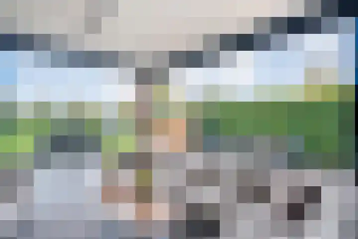 Markeboek 1 Ommen thumbnail 85