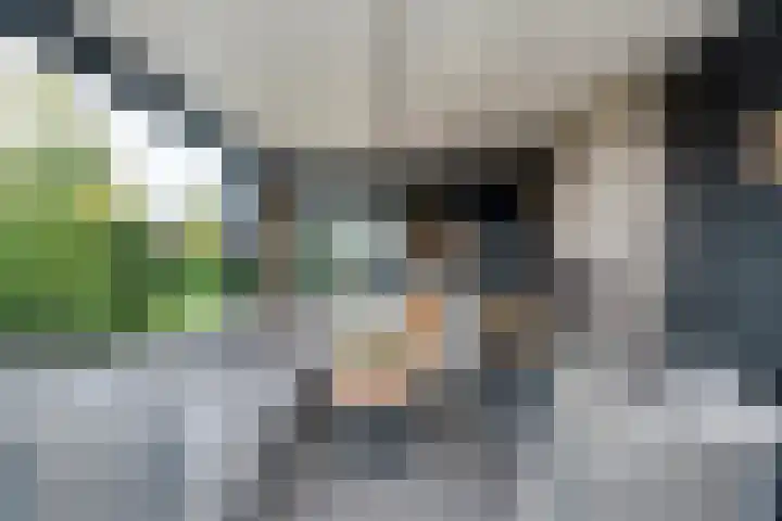 Markeboek 1 Ommen thumbnail 86