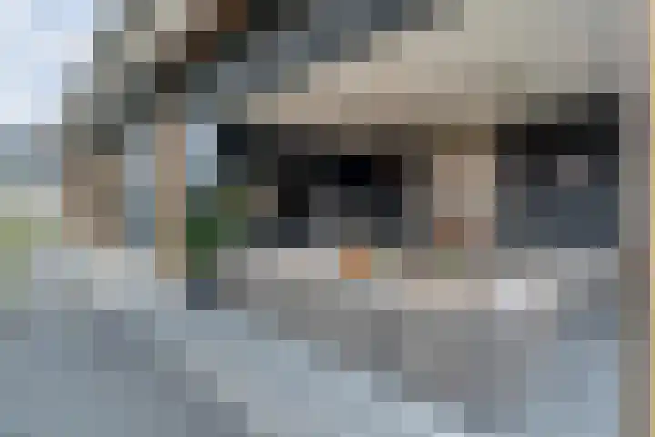 Markeboek 1 Ommen thumbnail 87
