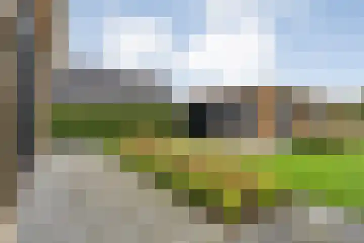 Markeboek 1 Ommen thumbnail 89