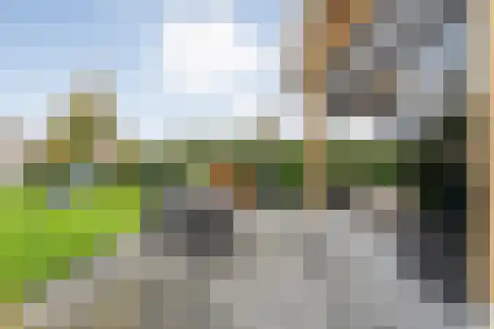 Markeboek 1 Ommen thumbnail 90