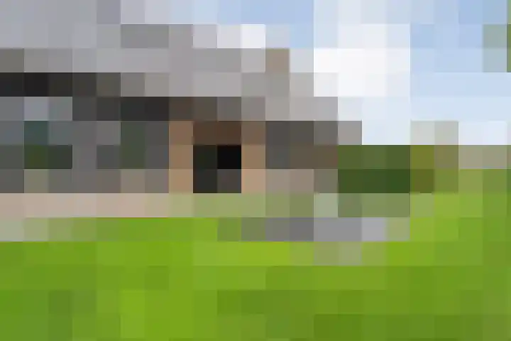 Markeboek 1 Ommen thumbnail 94