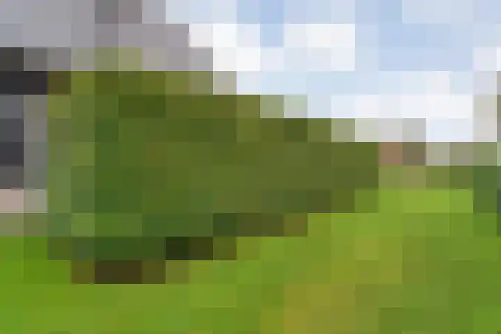 Markeboek 1 Ommen thumbnail 95