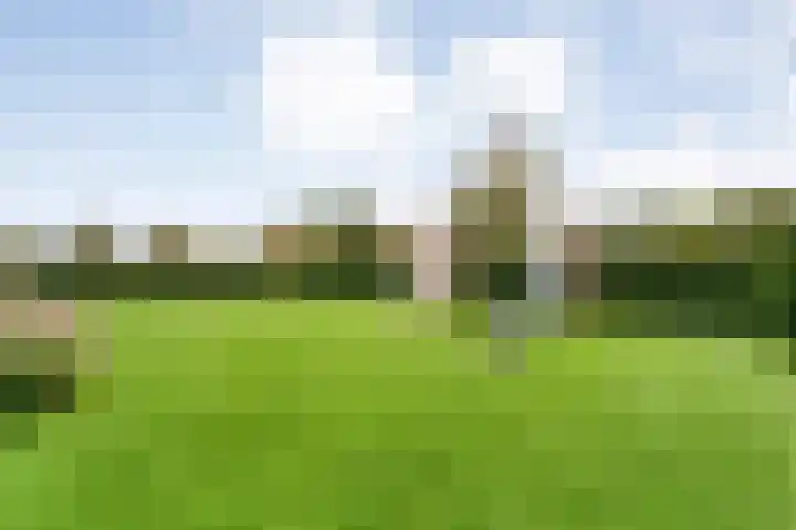 Markeboek 1 Ommen thumbnail 97