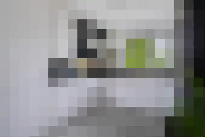 Markeboek 36 Ommen thumbnail 14