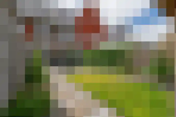 Markeboek 36 Ommen thumbnail 39