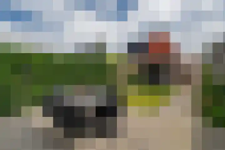 Markeboek 36 Ommen thumbnail 42