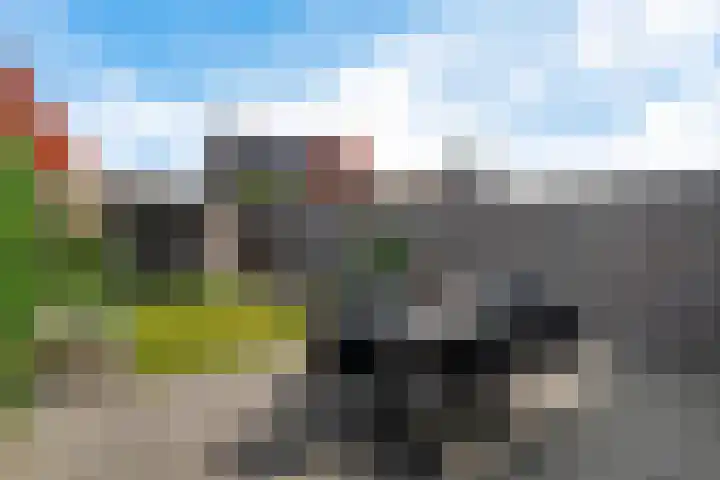 Markeboek 36 Ommen thumbnail 43
