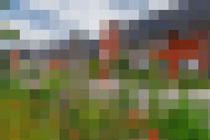 Markeboek 36 Ommen thumbnail 45