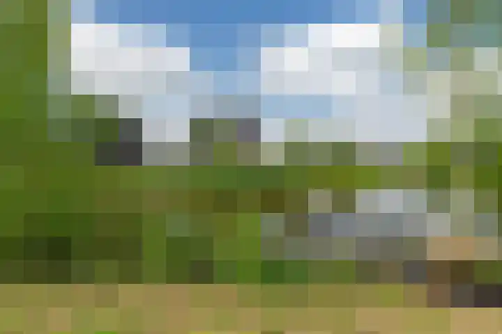 Markeboek 36 Ommen thumbnail 47