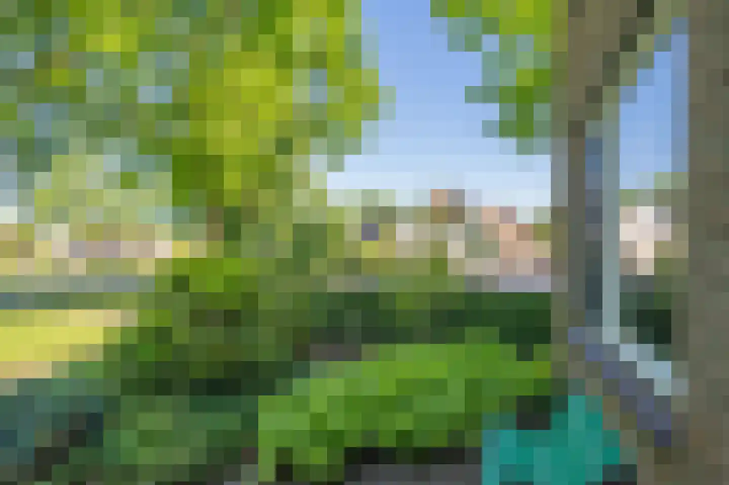 Markedreef 131 Assen thumbnail 11