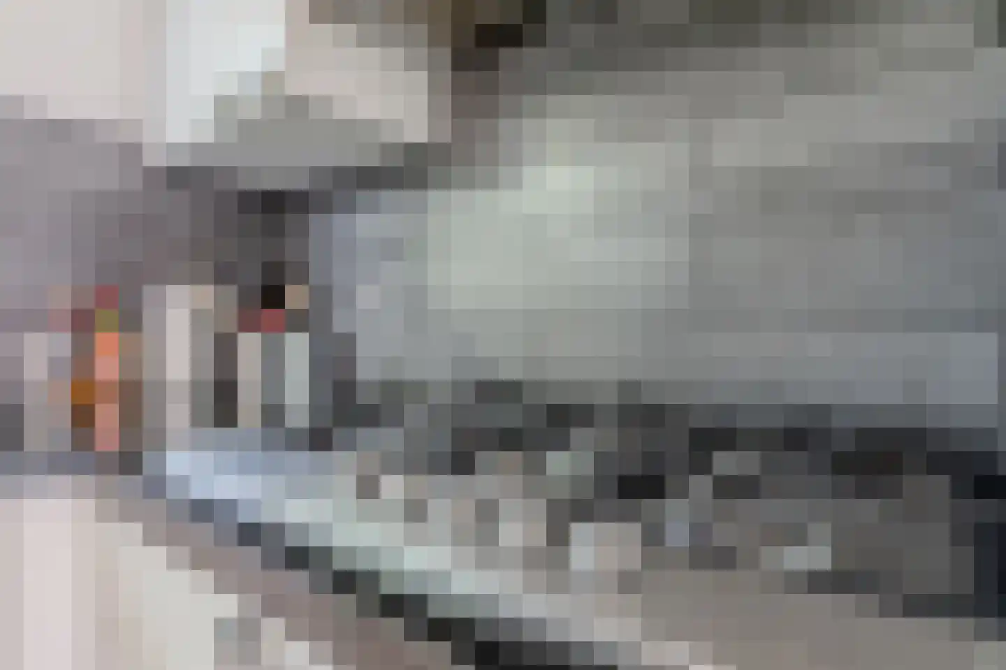Markedreef 131 Assen thumbnail 19