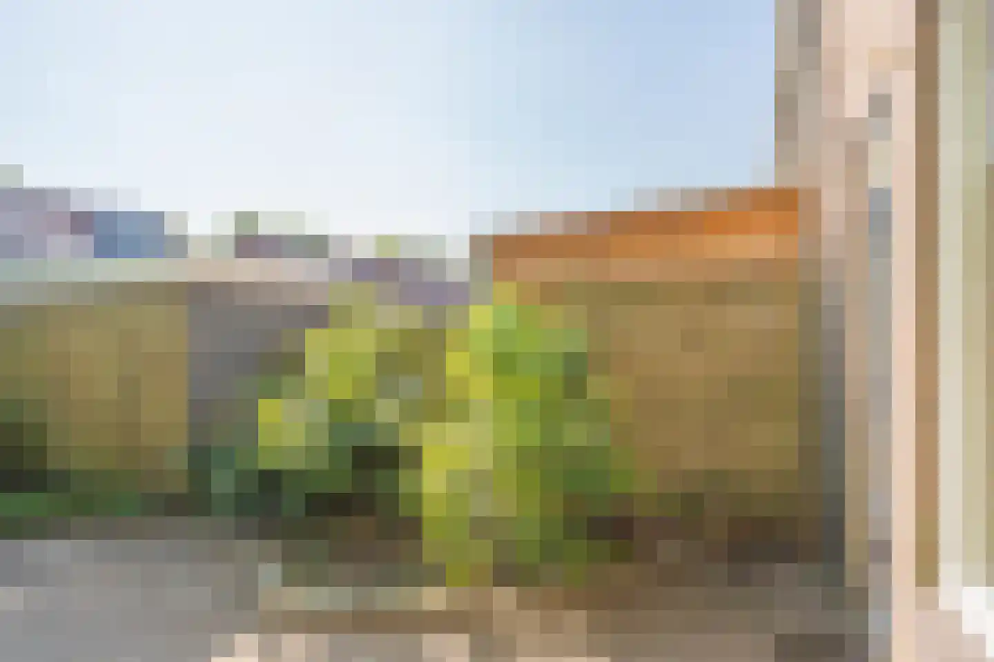 Markedreef 131 Assen thumbnail 33
