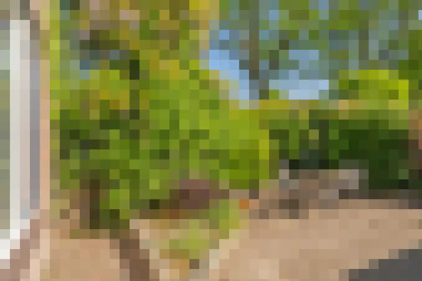 Markedreef 131 Assen thumbnail 34