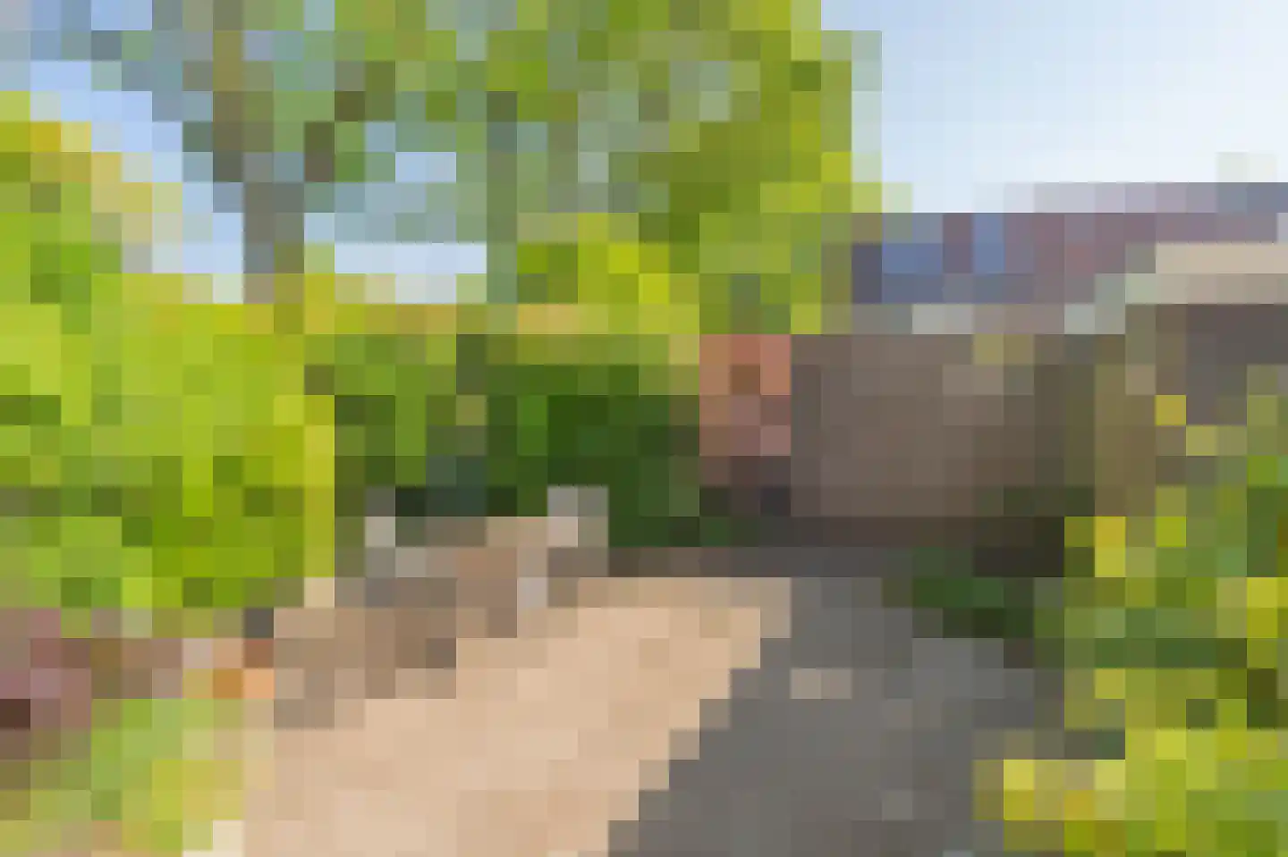 Markedreef 131 Assen thumbnail 36