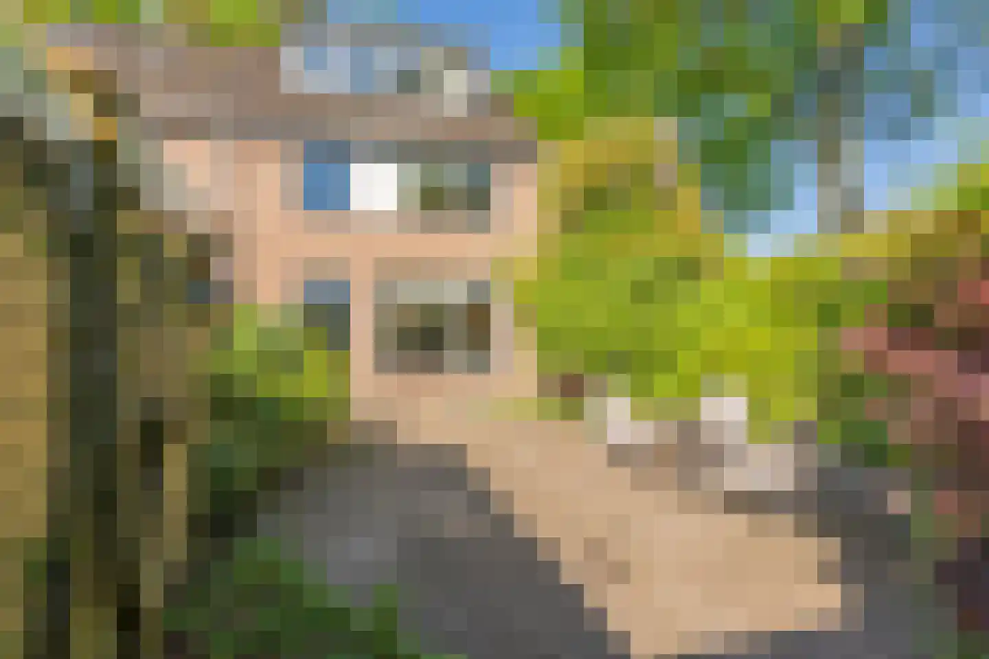 Markedreef 131 Assen thumbnail 38