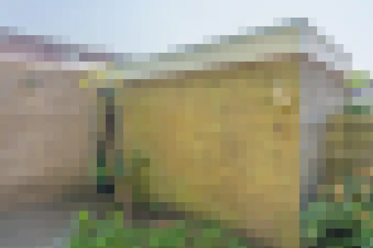 Markedreef 131 Assen thumbnail 39