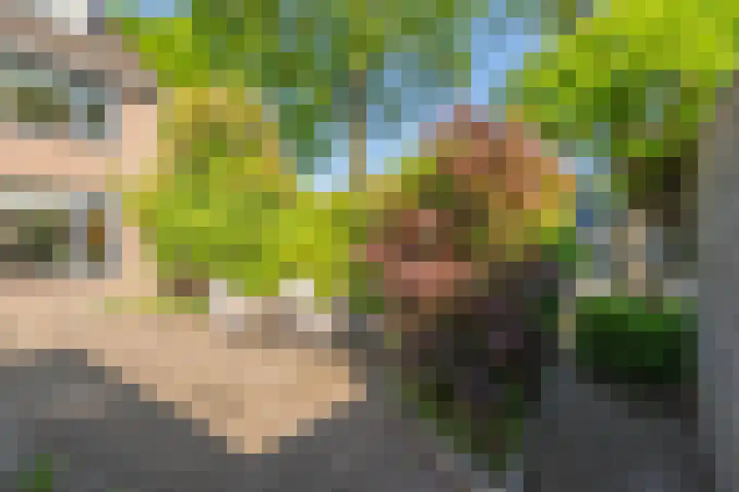 Markedreef 131 Assen thumbnail 40