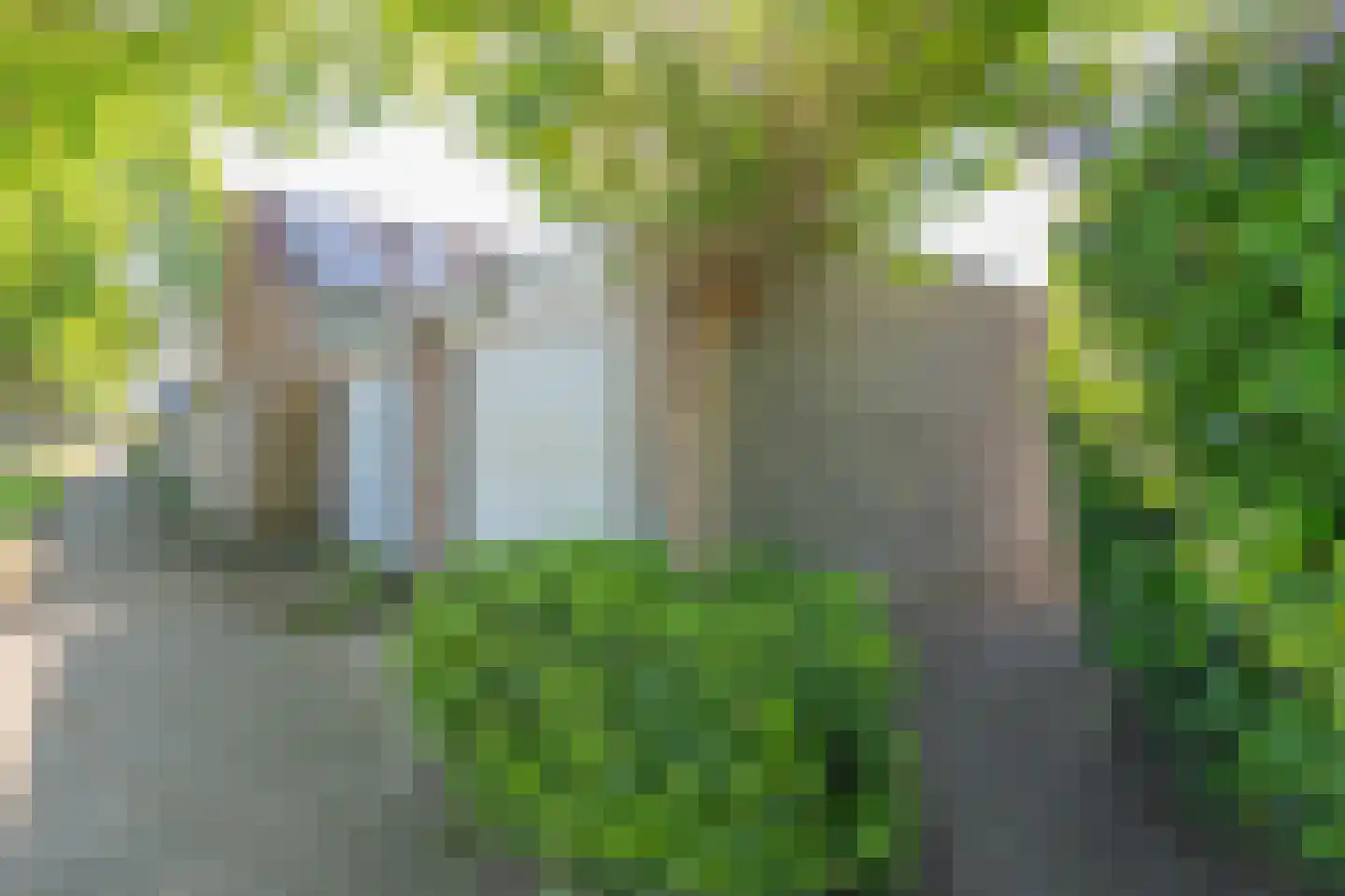 Markedreef 131 Assen thumbnail 41