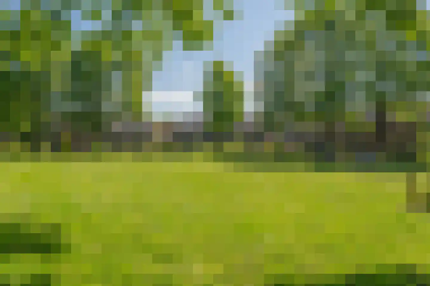 Markedreef 131 Assen thumbnail 43
