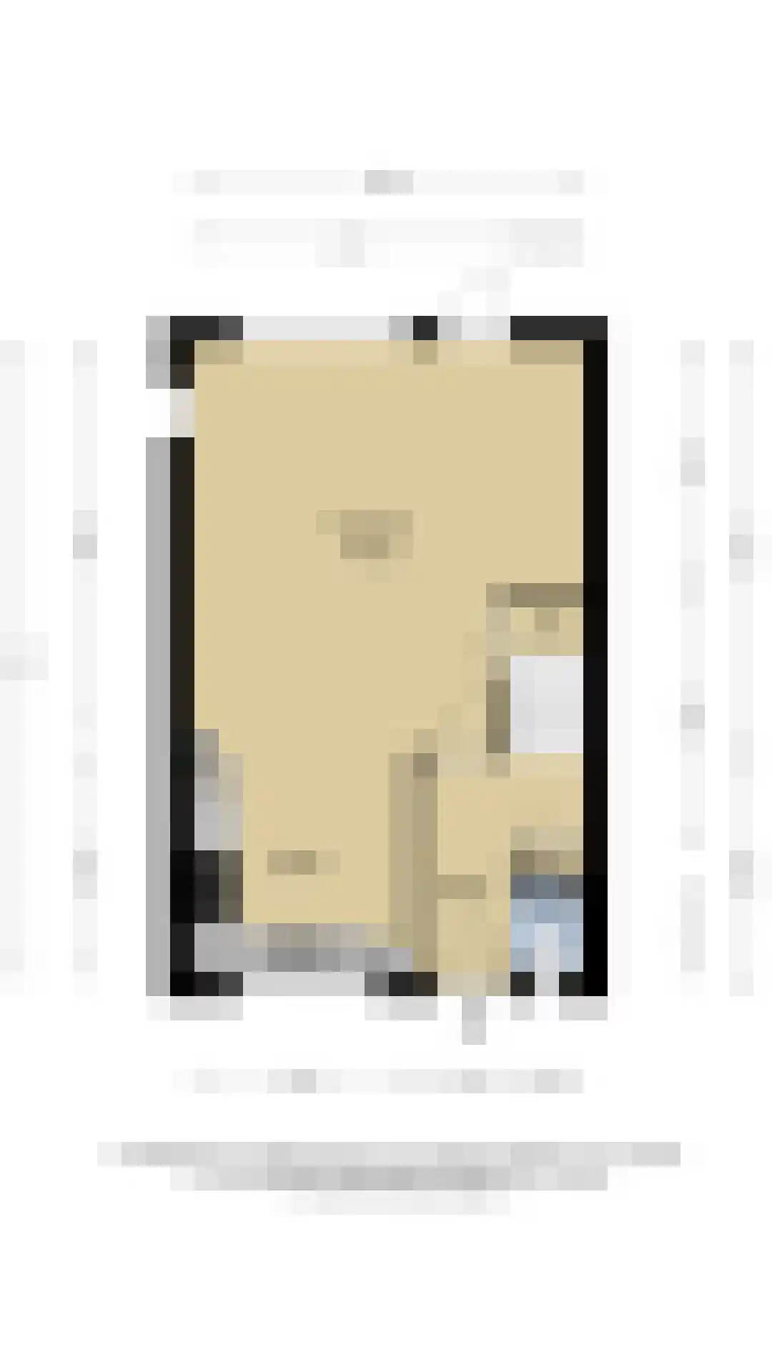 Markedreef 131 Assen thumbnail 47