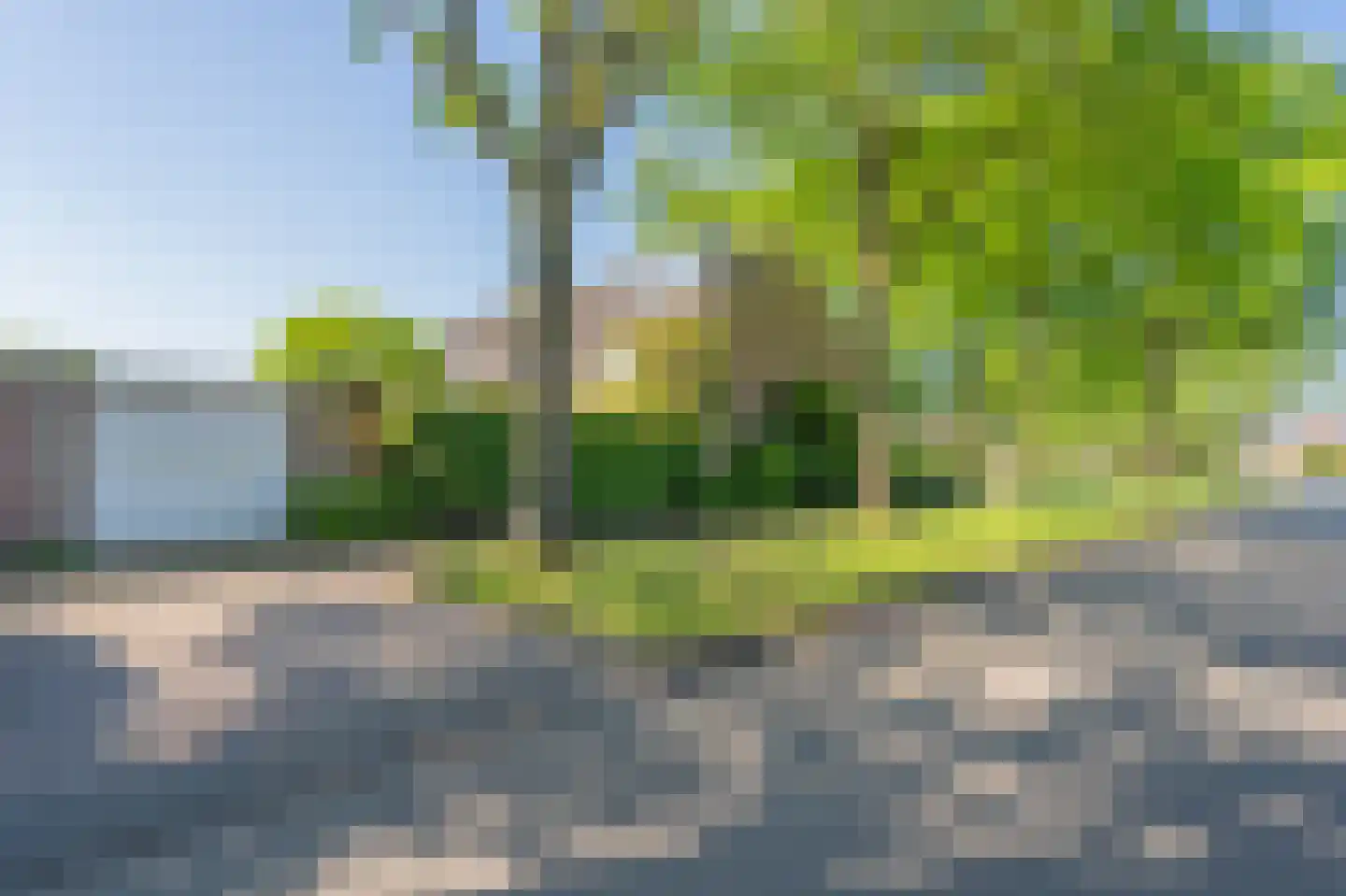 Markedreef 131 Assen thumbnail 8