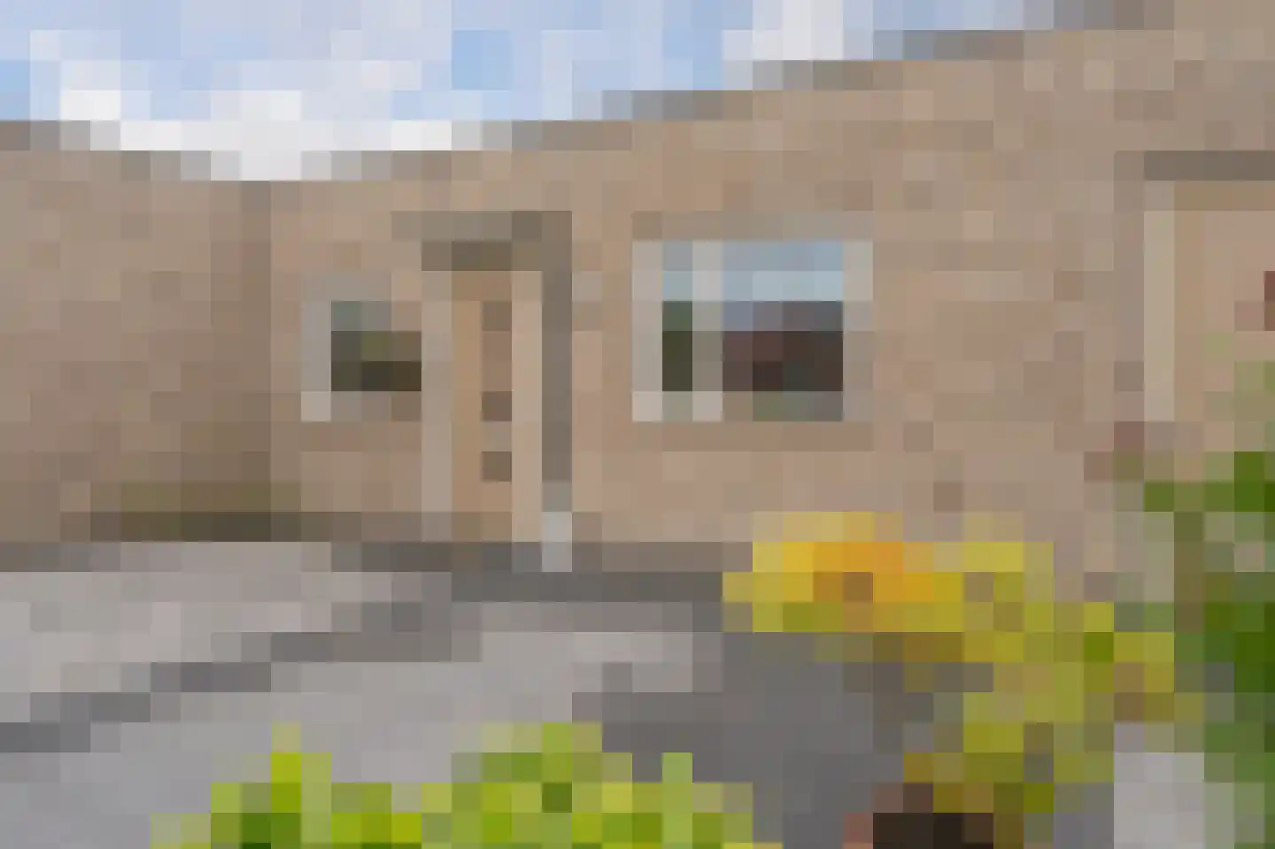 Markedreef 33 Assen thumbnail 11
