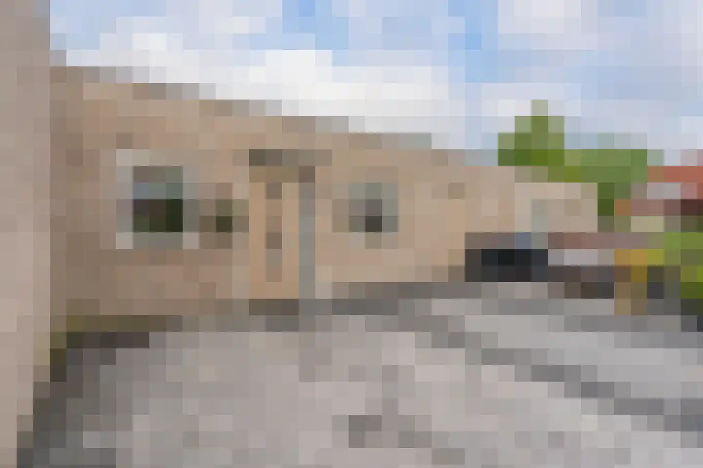 Markedreef 33 Assen thumbnail 12