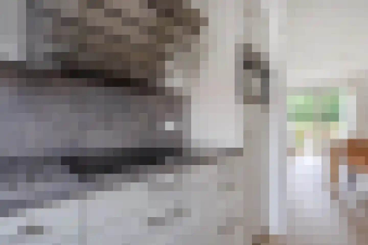 Markedreef 33 Assen thumbnail 26