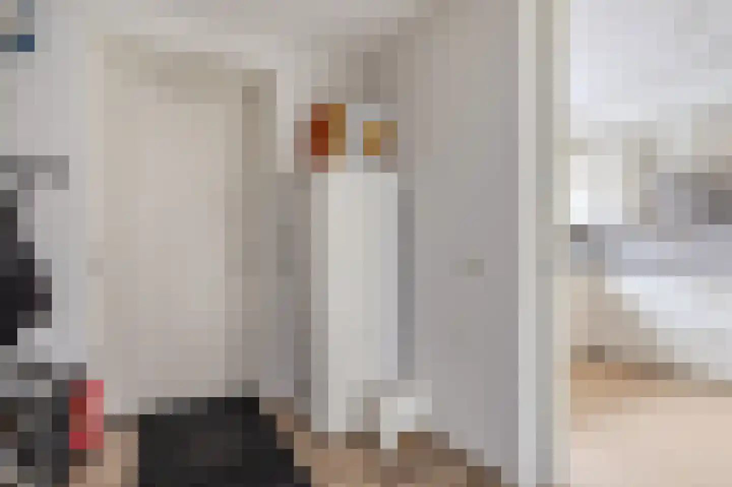 Markedreef 33 Assen thumbnail 27