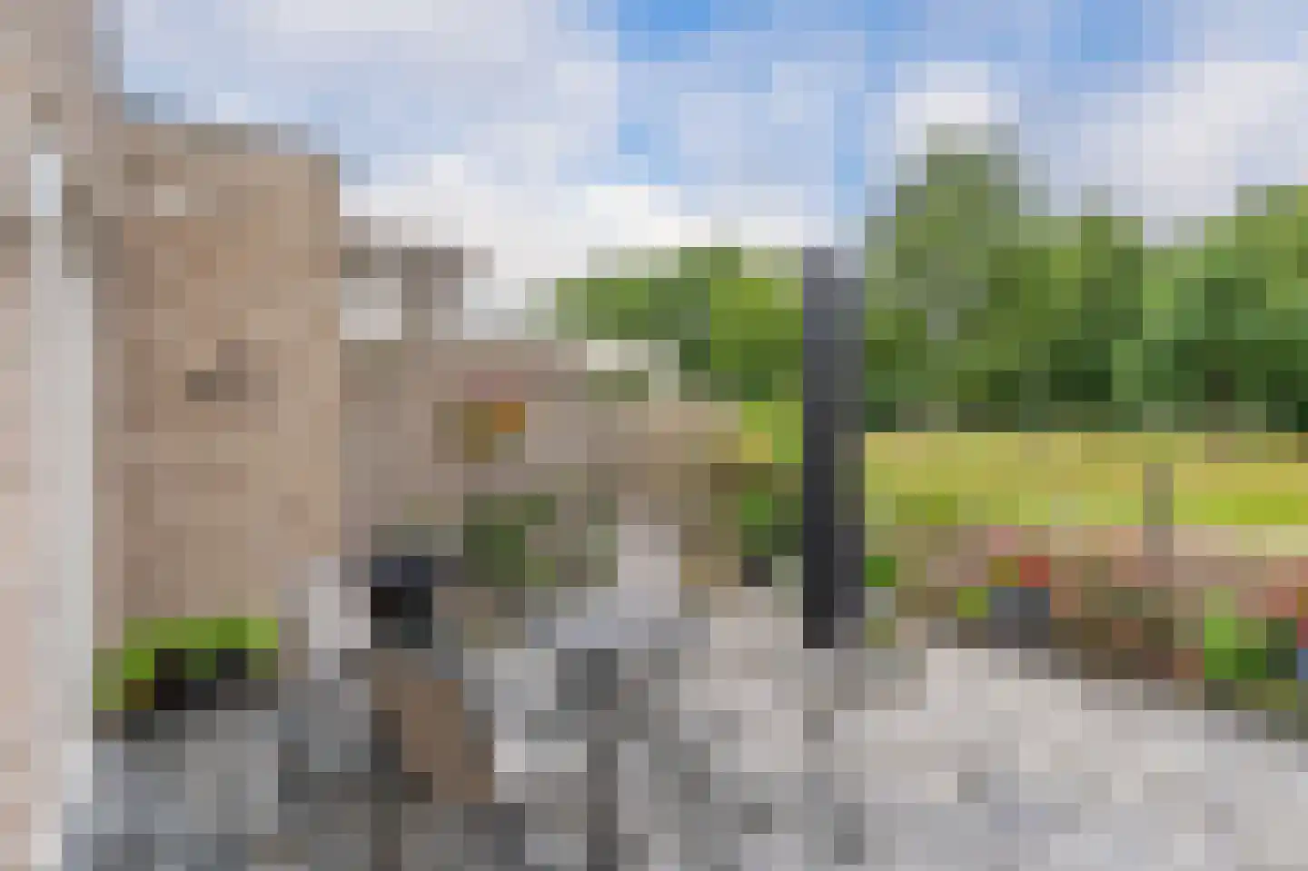 Markedreef 33 Assen thumbnail 34