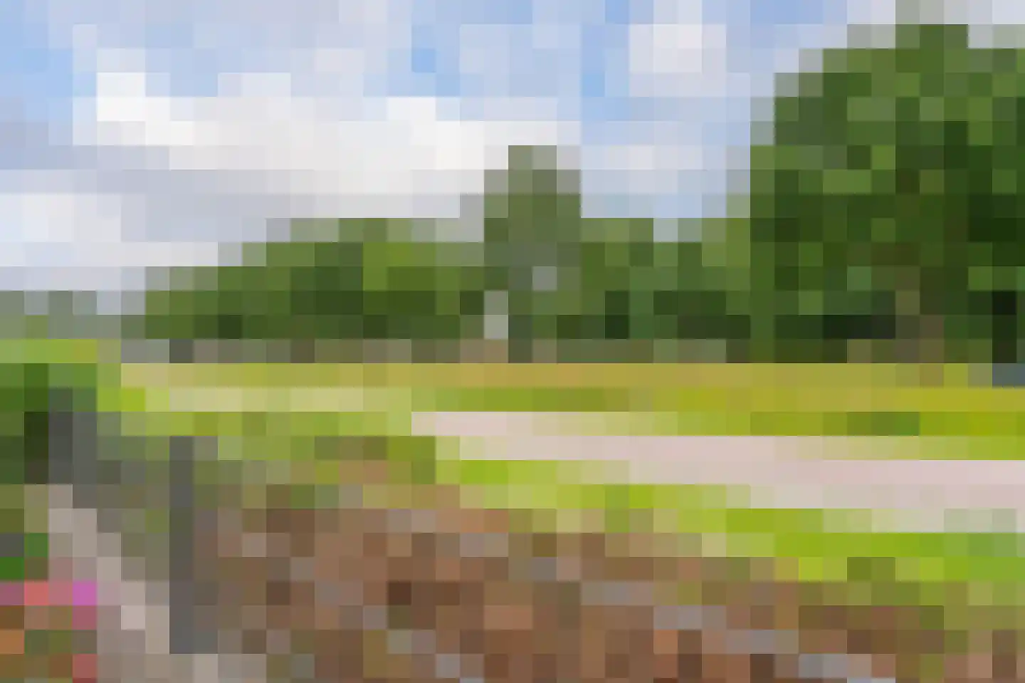 Markedreef 33 Assen thumbnail 38