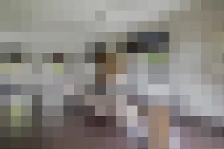 Markedwarsweg 10 Wedde thumbnail 11