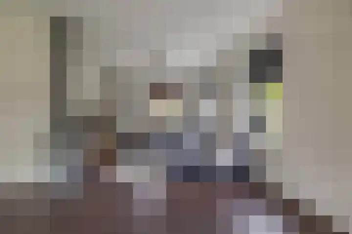 Markedwarsweg 10 Wedde thumbnail 12